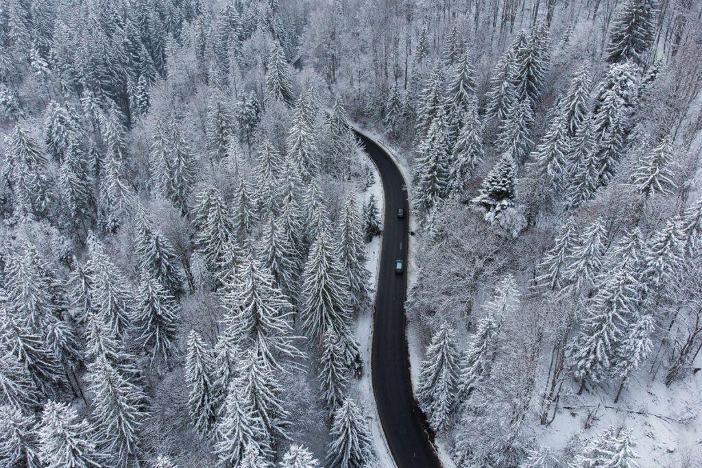 peisaj de iarna cu padure de brazi si zapada pe drumul dintre brasov si poiana brasov