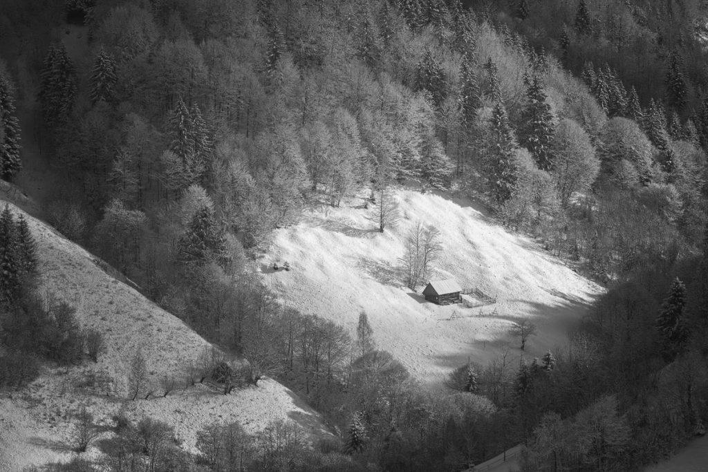 fotografie alb negru de peisaj pe culoarul rucar bran iarna
