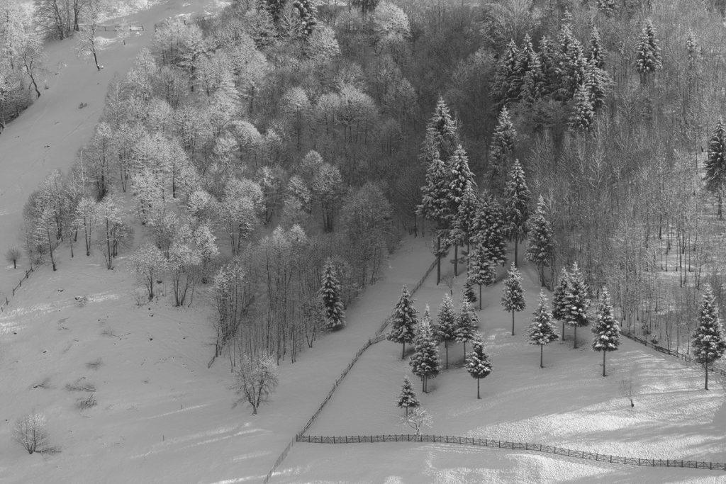 fotografie alb negru de peisaj in muntii bucegi