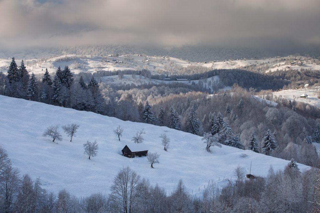 peisaj de iarna cu ninsoare in satul pestera brasov