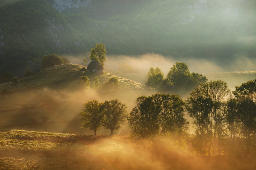rasarit de vara in satul dumesti alba