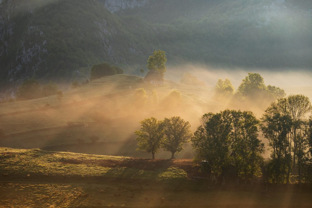 dumesti alba