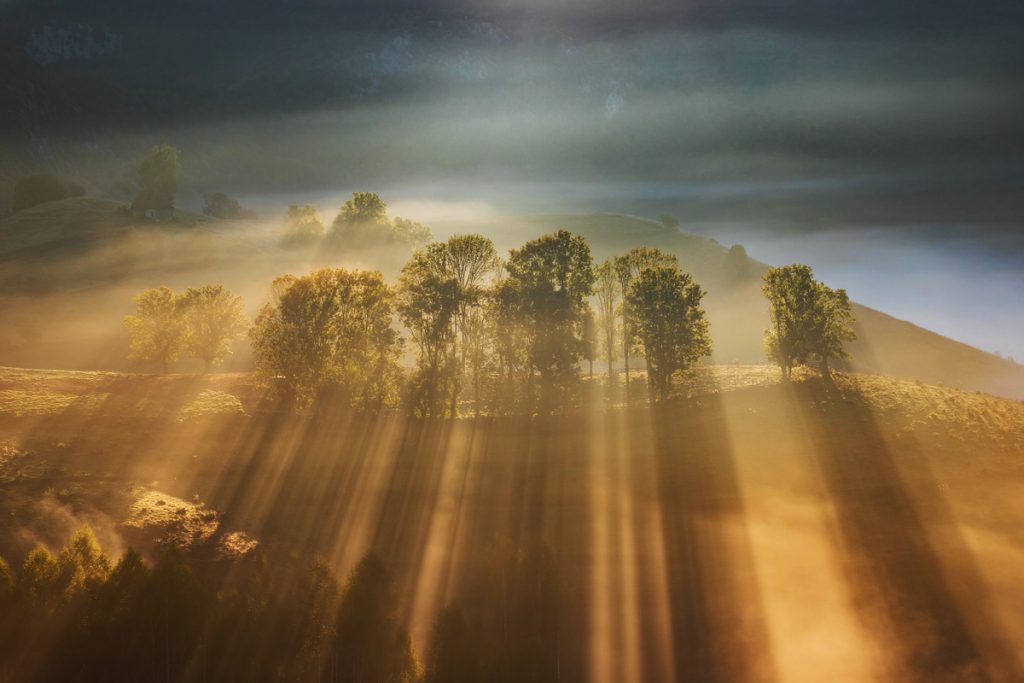 peisaj de vara cu ceata in satul dumesti alba