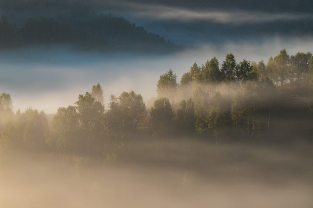 dimineata cu ceata in satul dumesti