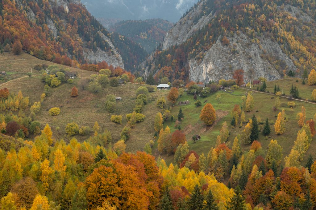 peisaj de toamna din satul magura brasov