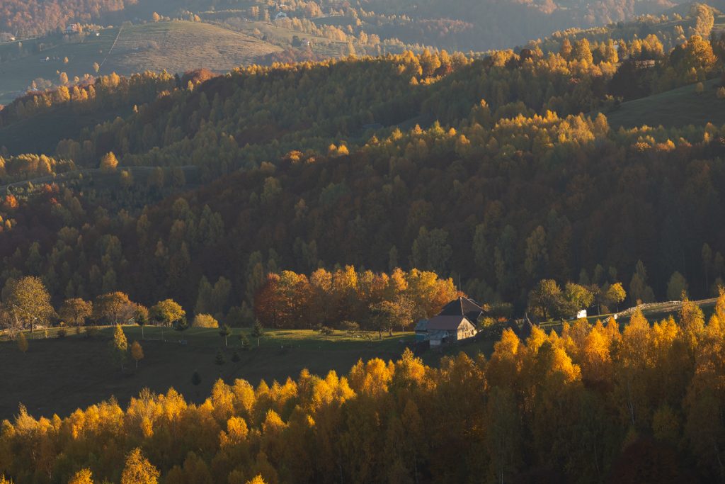 peisaj de toamna din satul pestera culoarul rucar-bran