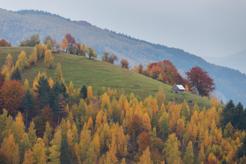 peisaj de toamna in pestera