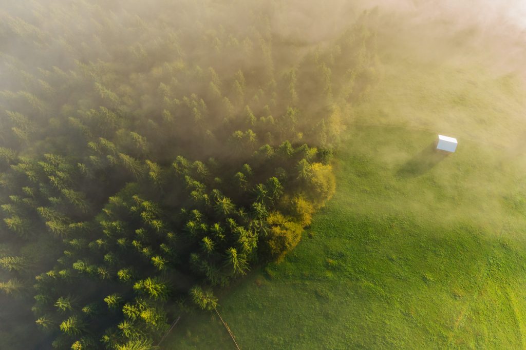 fotografie aeriana deaspura padurii de brazi in bucovina