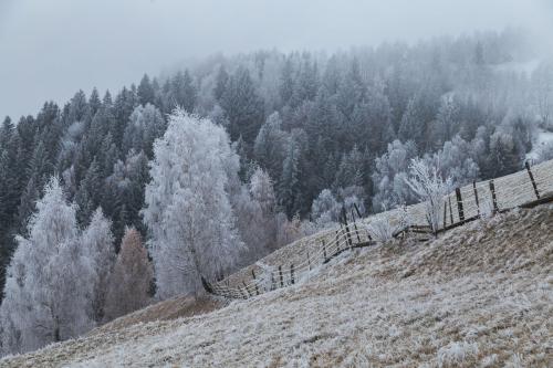 Brasov2020Dec-276-CopyR2