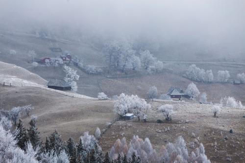 Brasov2020Dec-320-CopyR