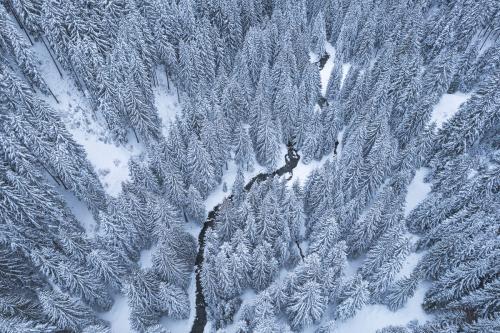 BrasovIanuarie2023Dji-103-CopyR
